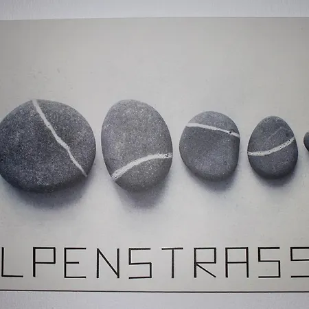 公寓式酒店 Gaestehaus Alpvital 克莱斯