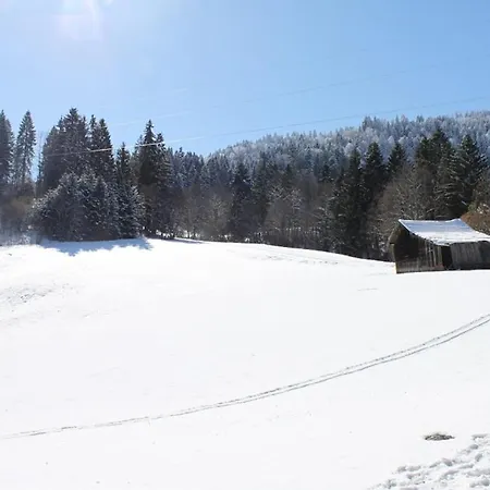 شقة فندقية Gaestehaus Alpvital 3*