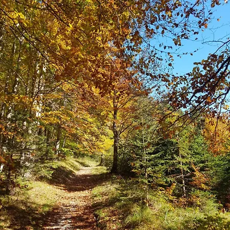 Gaestehaus Alpvital 3*