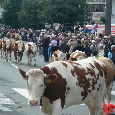 Aparthotel Alpvital 3*