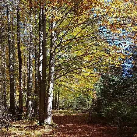 Alpvital Aparthotel Klais